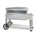 Crown Verity Professional Mobile Series 48 Inch Stainless Steel Freestanding Propane Gas Pizza Oven