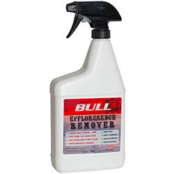 Grill Cleaner
