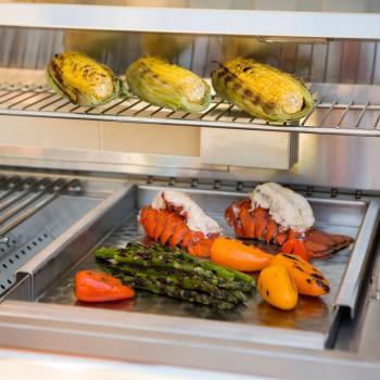 Coyote Drop In Stainless Steel Griddle Plate C1GRDL350