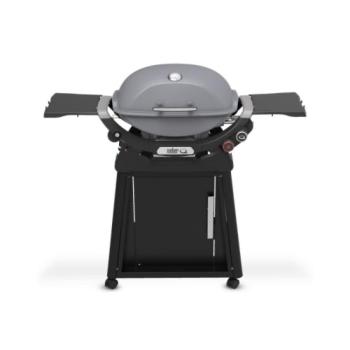 Weber Grills Q 2800N Freestanding Propane Gas Grill Smoke Grey 1500392350
