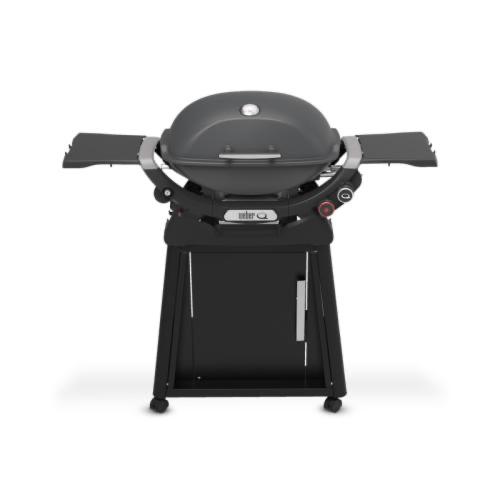 Weber Grills Q 2800N Freestanding Propane Gas Grill   Charcoal Grey