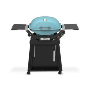 Weber Grills Q 2800N Freestanding Propane Gas Grill Sky Blue 1500394350