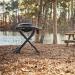 Weber Grills Traveler Compact Portable Propane Gas Grill   Black