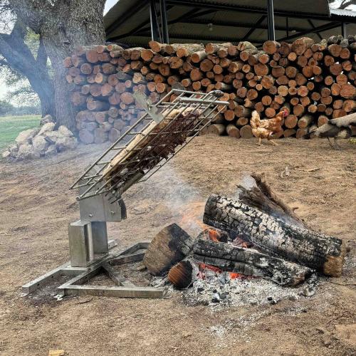 Tagwood BBQ Stainless Steel Clamp Grill Accessory