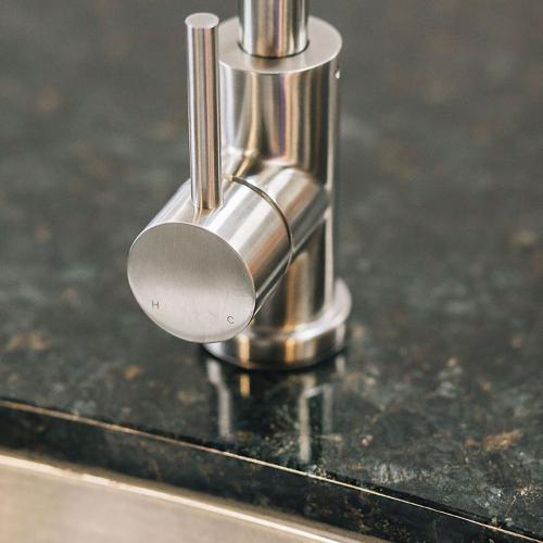 TrueFlame 19 Inch x 15 Inch Outdoor Rated Stainless Steel Single Bowl Undermount Sink with Gooseneck Hot and Cold Water