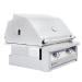 American Renaissance Grill by RCS 30 Inch 2 Burner Built In Natural Gas Grill