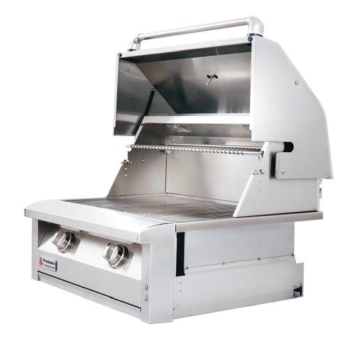 American Renaissance Grill by RCS 30 Inch 2 Burner Built In Natural Gas Grill