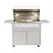 Summerset Grills Quest 42 Inch 4 Burner Freestanding Natural Gas Grill with Rear Infrared Burner