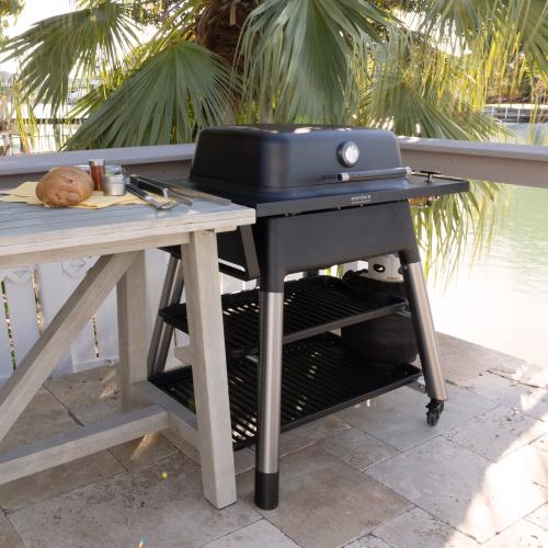 Everdure by Heston FORCE 48 Inch Freestanding 2 Burner Propane Gas Grill   Black