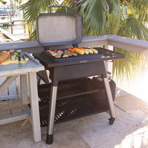 Everdure by Heston FORCE 48 Inch Freestanding 2 Burner Propane Gas Grill   Black
