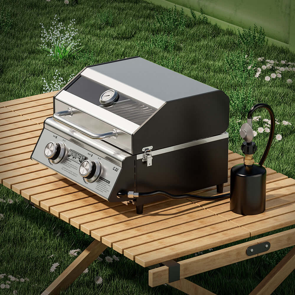 Monument Grills 2 Burner Stainless Steel Tabletop Propane Gas Grill with Clear View Lid
