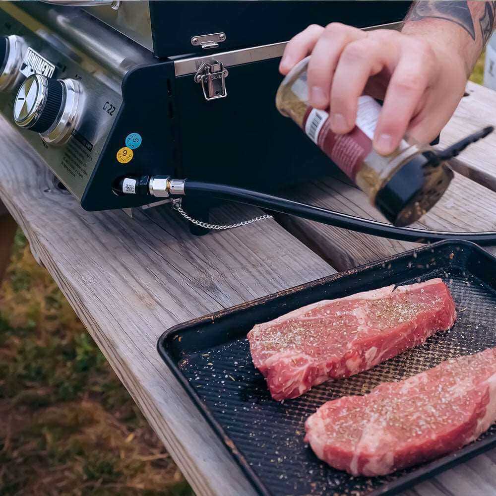 Monument Grills 2 Burner Stainless Steel Tabletop Propane Gas Grill with Clear View Lid