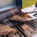 Monument Grills 2 Burner Stainless Steel Tabletop Propane Gas Grill with Clear View Lid