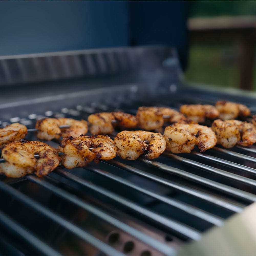 Monument Grills 2 Burner Stainless Steel Tabletop Propane Gas Grill with Clear View Lid