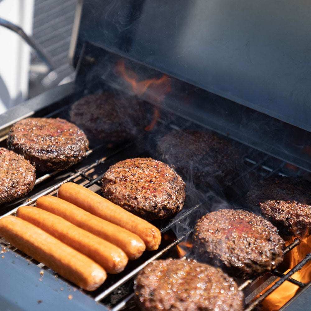 Monument Grills 2 Burner Stainless Steel Tabletop Propane Gas Grill with Clear View Lid