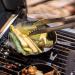 Monument Grills 2 Burner Stainless Steel Tabletop Propane Gas Grill with Clear View Lid