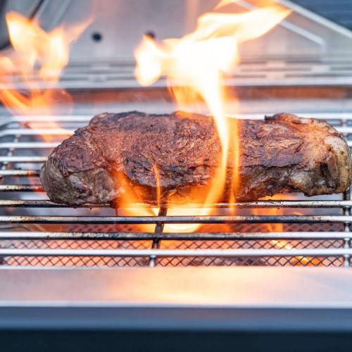 Monument Grills 4 Burner Freestanding Stainless Steel Propane Gas Grill with Side Burner  and  Infrared Sear Station