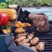 Monument Grills Mesa 200 2 Burner Freestanding Propane Gas Grill with Clear View Lid   Matte Red