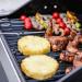 Monument Grills Mesa 200 2 Burner Freestanding Propane Gas Grill with Clear View Lid   Stainless Steel