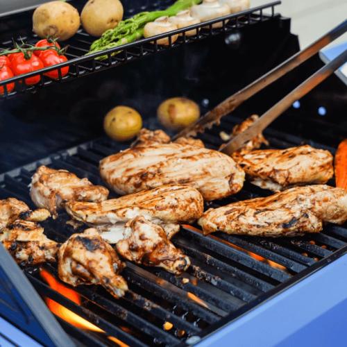 Monument Grills Mesa 200 2 Burner Freestanding Propane Gas Grill with Clear View Lid   Stainless Steel