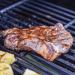 Monument Grills Mesa 305 3 Burner Stainless Steel Freestanding Propane Gas Grill with Clear View Lid  and  Side Burner