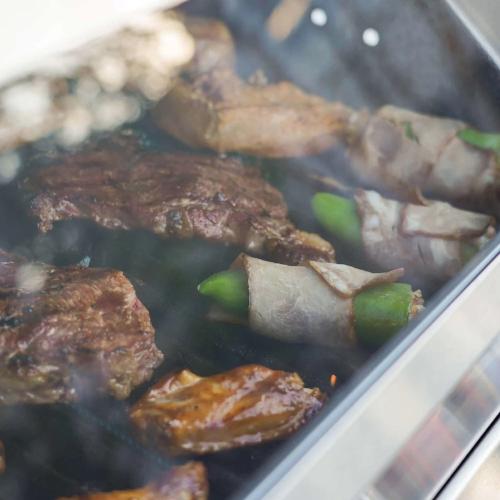 Monument Grills Mesa 415BZ 4 Burner Stainless Steel Freestanding Propane Gas Grill with Clear View Lid Broil Zone  and  Side Burner