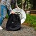 Solo Stove Carry Bag for Ranger Heat Deflector