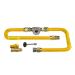 American Fire Glass Natural Gas High Capacity Flex Line Kit with High Capacity Key Valve
