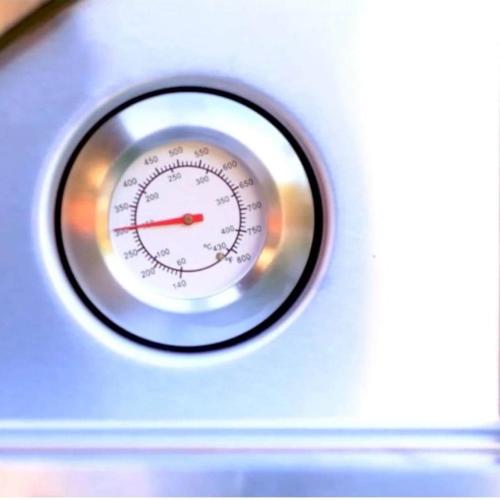 WPPO Karma 42 Inch Freestanding Stainless Steel Wood Fired Pizza Oven with Stainless Steel Cart